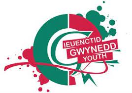 Gwynedd Youth Service