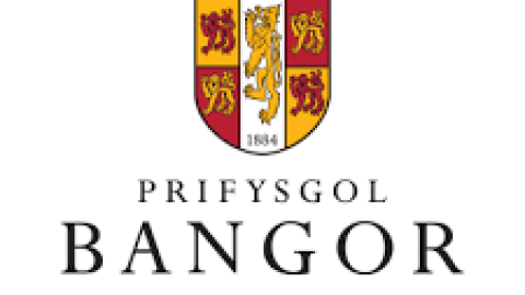 Bangor University Careers and Employability Fair