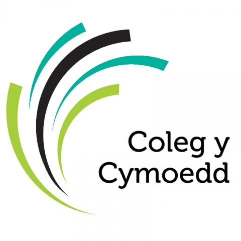 Welsh Language Facilitator - Creative Industries