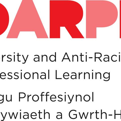 Diversity and Anti-Racist Professional Learning