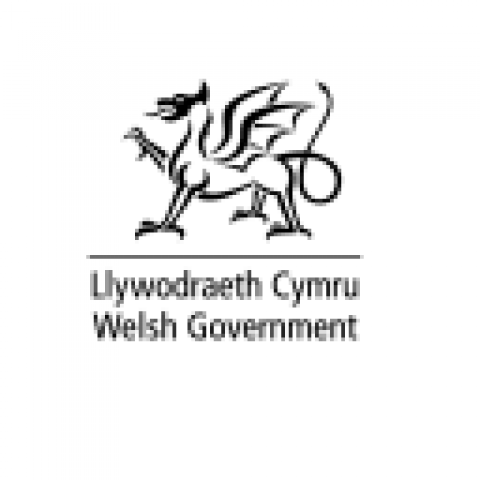 New Chair of the Youth Work Strategy Implementation Board - Welsh Essential 