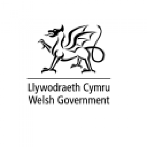 Welsh-Medium Conversion Programme