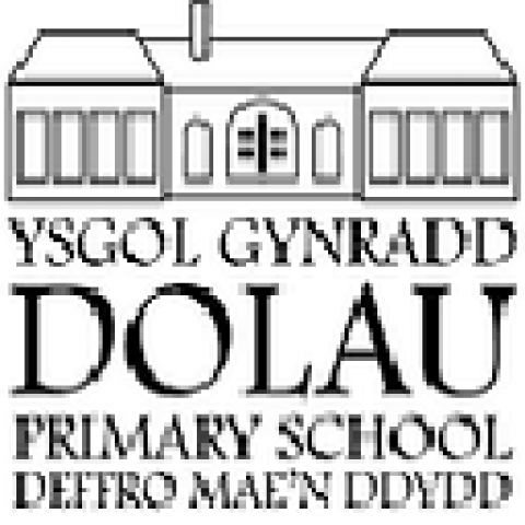 SITE MANAGER - DOLAU PRIMARY SCHOOL